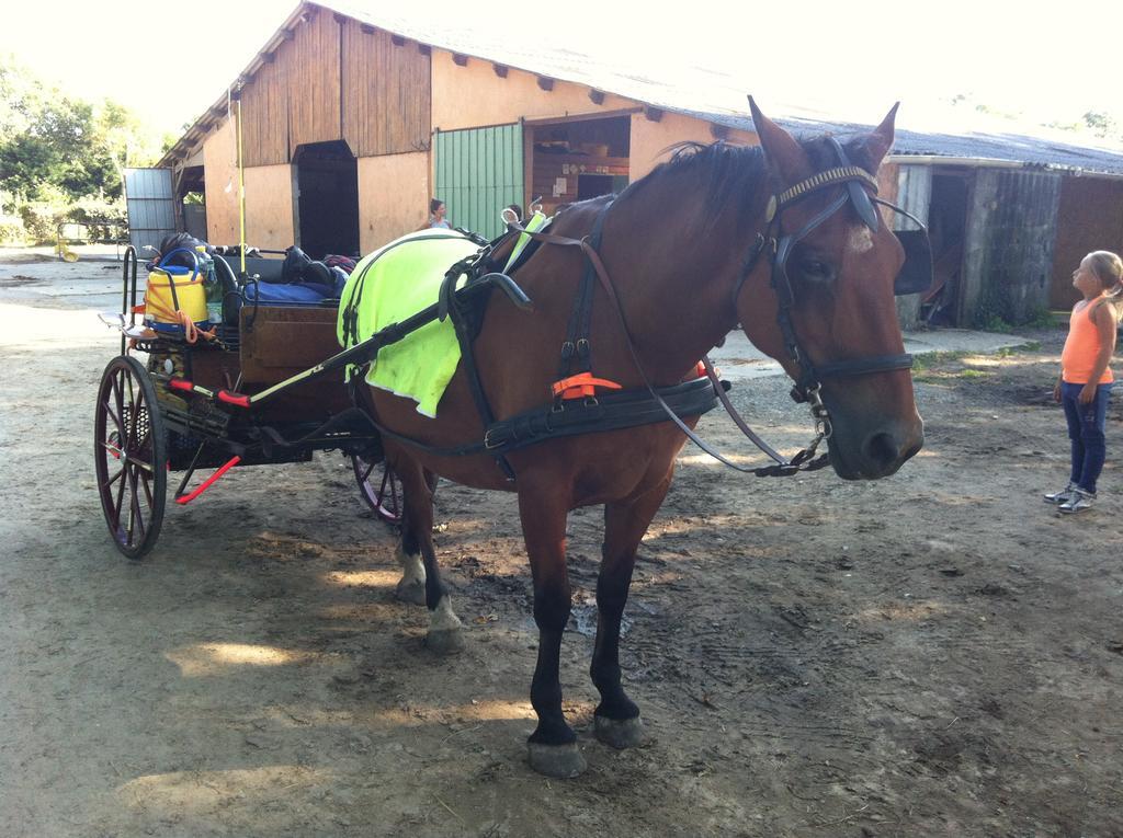 Cavalibre Chambre D'Hotes Mesquer Bagian luar foto